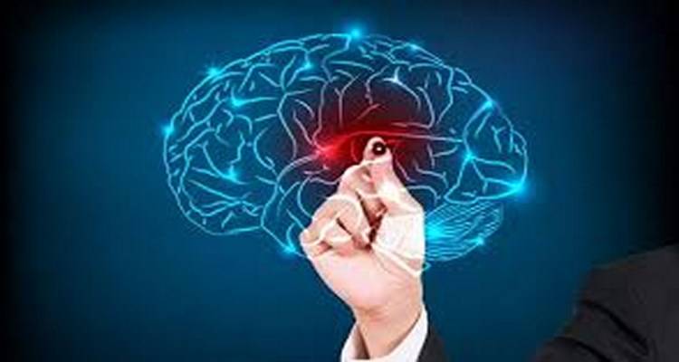 Η Υγεία του Εγκεφάλου!