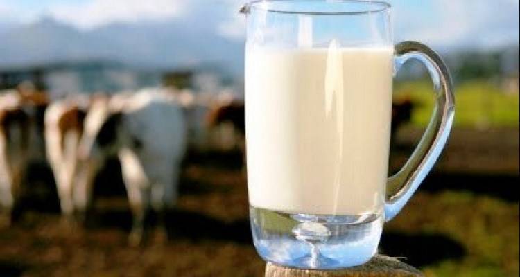 &Phi;&rho;έ&sigma;&kappa;&omicron; &pi;&rho;ό&beta;&epsilon;&iota;&omicron; &gamma;ά&lambda;&alpha; &gamma;&iota;&alpha; &pi;&rho;ώ&tau;&eta; &phi;&omicron;&rho;ά &sigma;&tau;&eta;&nu; &epsilon;&lambda;&lambda;&eta;&nu;&iota;&kappa;ή &alpha;&gamma;&omicron;&rho;ά