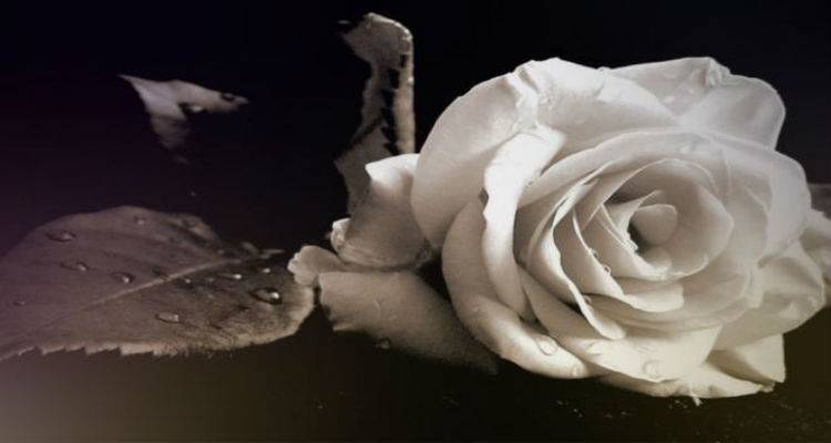 Έ&phi;&upsilon;&gamma;&epsilon; &alpha;&pi;ό &tau;&eta; &zeta;&omega;ή &omicron; &Mu;&pi;ά&mu;&pi;&eta;&sigmaf; &Chi;&alpha;&tau;&zeta;ό&gamma;&lambda;&omicron;&upsilon;