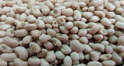 &Tau;&omicron; &Alpha;&sigma;&pi;&rho;&omicron;&mu;ύ&tau;&iota;&kappa;&omicron; &Phi;&alpha;&sigma;ό&lambda;&iota; &Lambda;ή&mu;&nu;&omicron;&upsilon; &sigma;&tau;&omicron; &epsilon;&pi;ί&kappa;&epsilon;&nu;&tau;&rho;&omicron; &tau;&eta;&sigmaf; &pi;&rho;&omicron;&sigma;&pi;ά&theta;&epsilon;&iota;&alpha;&sigmaf; &Pi;&Omicron;&Pi;/&Pi;&Gamma;&Epsilon; &tau;&omicron;&upsilon; &Beta;&omicron;&rho;&epsilon;ί&omicron;&upsilon; &Alpha;&iota;&gamma;&alpha;ί&omicron;&upsilon;