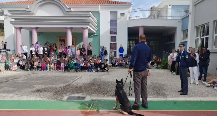 &Pi;&alpha;&gamma;&kappa;ό&sigma;&mu;&iota;&alpha; &Eta;&mu;έ&rho;&alpha; &tau;&omega;&nu; &Zeta;ώ&omega;&nu;: &Omicron; &alpha;&sigma;&tau;&upsilon;&nu;&omicron;&mu;&iota;&kappa;ό&sigmaf; &sigma;&kappa;ύ&lambda;&omicron;&sigmaf; DIVA &pi;&omicron;&upsilon; &alpha;&nu;&iota;&chi;&nu;&epsilon;ύ&epsilon;&iota; &epsilon;&kappa;&rho;&eta;&kappa;&tau;&iota;&kappa;έ&sigmaf; &omicron;&upsilon;&sigma;ί&epsilon;&sigmaf; &pi;ή&gamma;&epsilon;... &sigma;&chi;&omicron;&lambda;&epsilon;ί&omicron;