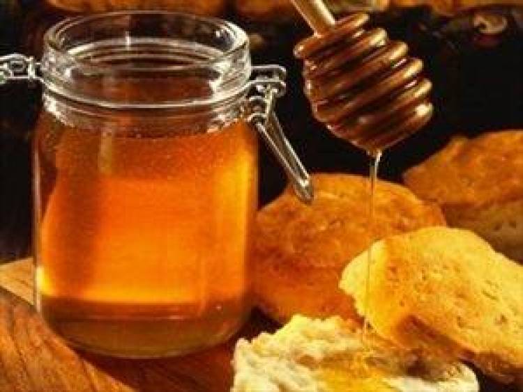 &Mu;έ&lambda;&iota;: &kappa;&alpha;&iota; &tau;&rho;ό&phi;&iota;&mu;&omicron; &kappa;&alpha;&iota; &phi;ά&rho;&mu;&alpha;&kappa;&omicron; &gamma;&iota;&alpha; &tau;&alpha; &pi;&alpha;&iota;&delta;&iota;ά!