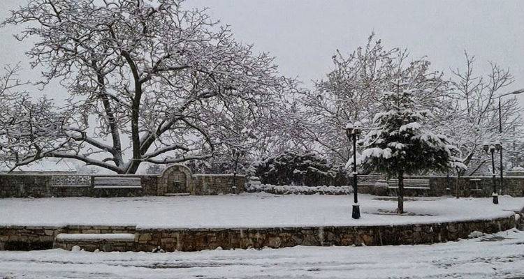 &Chi;&rho;&iota;&sigma;&tau;&omicron;ύ&gamma;&epsilon;&nu;&nu;&alpha; &mu;&epsilon; &zeta;έ&sigma;&tau;&eta;, &Pi;&rho;&omega;&tau;&omicron;&chi;&rho;&omicron;&nu;&iota;ά &laquo;&sigma;&tau;&alpha; &lambda;&epsilon;&upsilon;&kappa;ά&raquo;