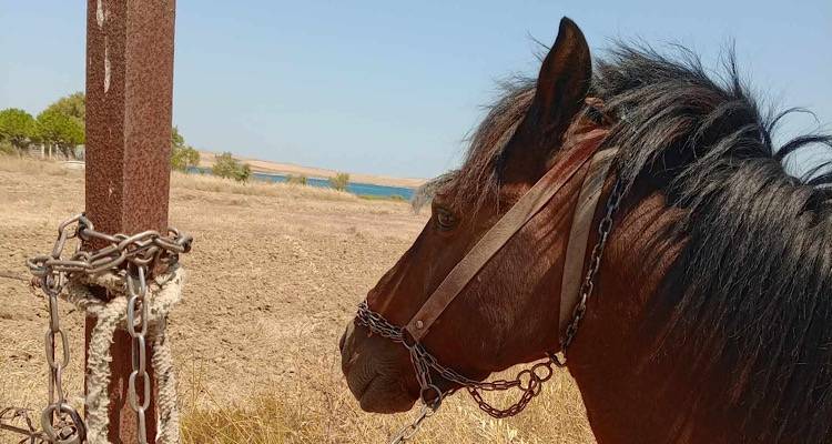 &Lambda;ή&mu;&nu;&omicron;&sigmaf;: &Sigma;&tau;&omicron;&nu; ή&lambda;&iota;&omicron; &kappa;&alpha;&iota; &chi;&omega;&rho;ί&sigmaf; &nu;&epsilon;&rho;ό ά&lambda;&omicron;&gamma;&omicron; &lambda;ί&gamma;&omicron; &mu;&epsilon;&tau;ά &tau;&omicron; &Delta;&iota;&alpha;&pi;ό&rho;&iota; | &Kappa;&alpha;&tau;&alpha;&gamma;&gamma;&epsilon;&lambda;ί&alpha; &pi;&omicron;&lambda;ί&tau;&eta;