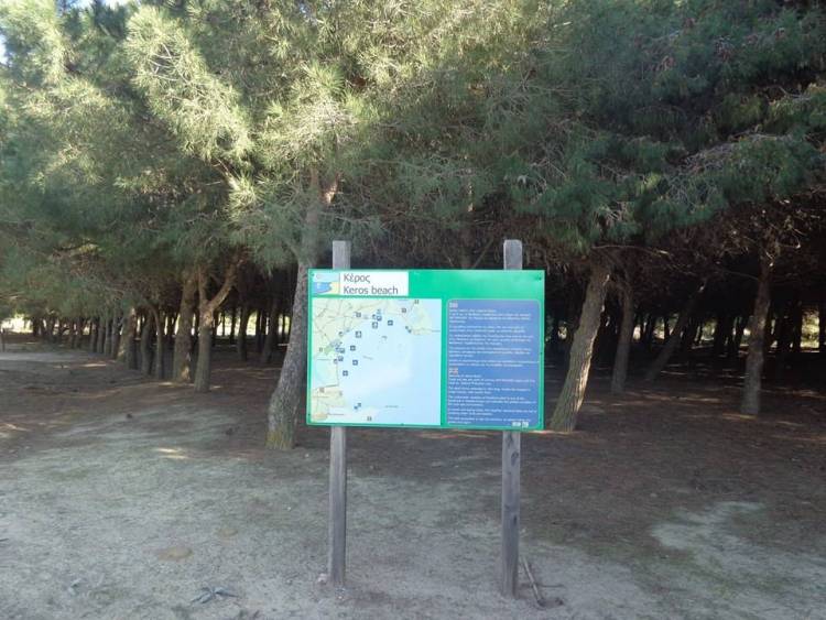 &Epsilon;&theta;&epsilon;&lambda;&omicron;&nu;&tau;&iota;&kappa;ό&sigmaf; &kappa;&alpha;&theta;&alpha;&rho;&iota;&sigma;&mu;ό&sigmaf; &sigma;&tau;&omicron; &delta;&alpha;&sigma;ά&kappa;&iota; &tau;&eta;&sigmaf; &Kappa;&alpha;&lambda;&lambda;&iota;ό&pi;&eta;&sigmaf; &alpha;&pi;ό &tau;&omicron;&nu; &Pi;&omicron;&lambda;&iota;&tau;&iota;&sigma;&tau;&iota;&kappa;ό &Alpha;&theta;&lambda;&eta;&tau;&iota;&kappa;ό Ό&mu;&iota;&lambda;&omicron; &tau;&eta;&sigmaf; &pi;&epsilon;&rho;&iota;&omicron;&chi;ή&sigmaf;