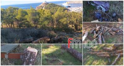 &Pi;&alpha;&rho;ά&pi;&omicron;&nu;&alpha; &kappa;&alpha;&tau;&omicron;ί&kappa;&omega;&nu; &gamma;&iota;&alpha; &tau;&omicron; &delta;&alpha;&sigma;ά&kappa;&iota; &tau;&omicron;&upsilon; &Alpha;&gamma;ί&omicron;&upsilon; &Nu;&iota;&kappa;&omicron;&lambda;ά&omicron;&upsilon; | &Kappa;&omicron;&mu;&mu;έ&nu;&alpha; &delta;έ&nu;&tau;&rho;&alpha; &kappa;&alpha;&iota; &epsilon;&iota;&kappa;ό&nu;&alpha; &epsilon;&gamma;&kappa;&alpha;&tau;ά&lambda;&epsilon;&iota;&psi;&eta;&sigmaf;