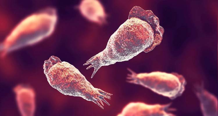 ΗΠΑ: Ανήλικος έχασε τη ζωή του από σπάνια αμοιβάδα που «τρώει» τον εγκέφαλο