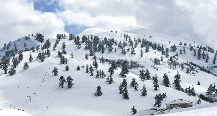 &Gamma;&rho;&epsilon;&beta;&epsilon;&nu;ά: &Nu;&epsilon;&kappa;&rho;ό&sigmaf; &omicron; &sigma;&kappa;&iota;έ&rho; &pi;&omicron;&upsilon; &kappa;&alpha;&tau;&alpha;&pi;&lambda;&alpha;&kappa;ώ&theta;&eta;&kappa;&epsilon; &alpha;&pi;ό &chi;&iota;&omicron;&nu;&omicron;&sigma;&tau;&iota;&beta;ά&delta;&alpha;
