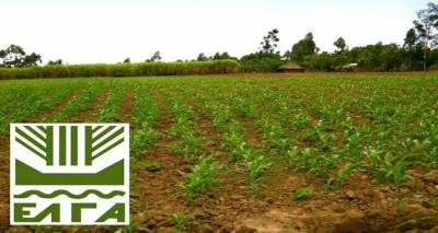 &Epsilon;&Lambda;&Gamma;&Alpha;: &Alpha;&pi;&omicron;&zeta;&eta;&mu;&iota;ώ&sigma;&epsilon;&iota;&sigmaf; 254.800 &epsilon;&upsilon;&rho;ώ &sigma;&tau;&omicron;&upsilon;&sigmaf; &delta;&iota;&kappa;&alpha;&iota;&omicron;ύ&chi;&omicron;&upsilon;&sigmaf; &tau;&omicron;&upsilon; &Nu;&omicron;&mu;&omicron;ύ &Lambda;έ&sigma;&beta;&omicron;&upsilon; &tau;&eta;&nu; &Pi;&alpha;&rho;&alpha;&sigma;&kappa;&epsilon;&upsilon;ή