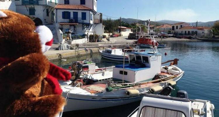 &Tau;&omicron; ArGOODaki &phi;έ&tau;&omicron;&sigmaf; &sigma;&tau;&eta;&rho;ί&zeta;&epsilon;&iota; &tau;&alpha; &alpha;&kappa;&rho;&iota;&tau;&iota;&kappa;ά &nu;&eta;&sigma;&iota;ά &Psi;&alpha;&rho;ά &kappa;&alpha;&iota; Ά&gamma;&iota;&omicron; &Epsilon;&upsilon;&sigma;&tau;&rho;ά&tau;&iota;&omicron;