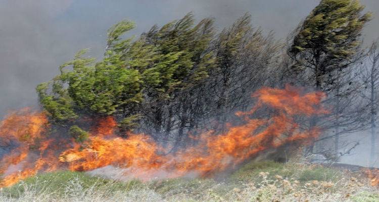 &Pi;&epsilon;&rho;&iota;&phi;έ&rho;&epsilon;&iota;&alpha; &Beta;&omicron;&rho;&epsilon;ί&omicron;&upsilon; &Alpha;&iota;&gamma;&alpha;ί&omicron;&upsilon;: &Pi;&rho;&omicron;&lambda;&eta;&pi;&tau;&iota;&kappa;ά &mu;έ&tau;&rho;&alpha; &gamma;&iota;&alpha; &tau;&eta;&nu; &alpha;&pi;&omicron;&phi;&upsilon;&gamma;ή &pi;&upsilon;&rho;&kappa;&alpha;&gamma;&iota;ώ&nu;