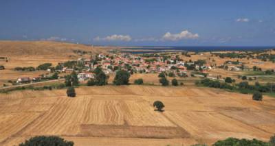 &Rho;&epsilon;&pi;&alpha;&nu;ί&delta;&iota;: &Tau;&alpha; &alpha;&pi;&omicron;&tau;&epsilon;&lambda;έ&sigma;&mu;&alpha;&tau;&alpha; &tau;&eta;&sigmaf; &tau;&omicron;&pi;&iota;&kappa;ή&sigmaf; &kappa;&omicron;&iota;&nu;ό&tau;&eta;&tau;&alpha;&sigmaf;