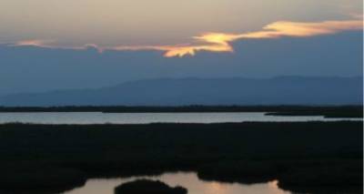 &Theta;&rho;ί&lambda;&epsilon;&rho; &mu;&epsilon; &tau;&omicron; &tau;&rho;&iota;&pi;&lambda;ό έ&gamma;&kappa;&lambda;&eta;&mu;&alpha; &sigma;&tau;&omicron;&nu; Έ&beta;&rho;&omicron;: &Eta; &nu;&epsilon;&kappa;&rho;&omicron;&tau;&omicron;&mu;ή &kappa;&alpha;&iota; έ&nu;&alpha; &kappa;&iota;&nu;&eta;&tau;ό &theta;&alpha; &rho;ί&xi;&omicron;&upsilon;&nu; &pi;&epsilon;&rho;&iota;&sigma;&sigma;ό&tau;&epsilon;&rho;&omicron; &phi;&omega;&sigmaf;