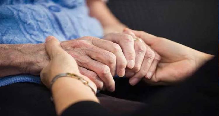 &Mu;&iota;&kappa;&rho;ή &alpha;&gamma;&gamma;&epsilon;&lambda;ί&alpha;: &Phi;ύ&lambda;&alpha;&xi;&eta; &eta;&lambda;&iota;&kappa;&iota;&omega;&mu;έ&nu;&omega;&nu;