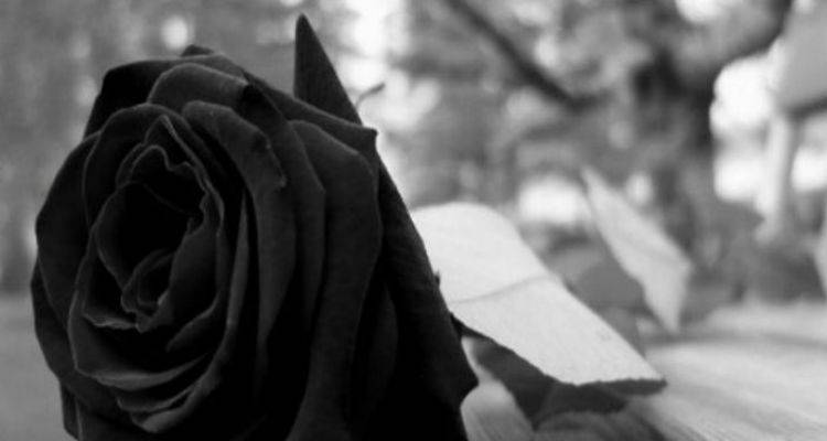 &Sigma;&epsilon; &sigma;&tau;&epsilon;&nu;ό &omicron;&iota;&kappa;&omicron;&gamma;&epsilon;&nu;&epsilon;&iota;&alpha;&kappa;ό &kappa;ύ&kappa;&lambda;&omicron; &eta; &kappa;&eta;&delta;&epsilon;ί&alpha; &tau;&omicron;&upsilon; &Nu;ί&kappa;&omicron;&upsilon; &Phi;&kappa;&iota;&alpha;&rho;ά