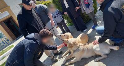 &Sigma;&tau;&omicron; &Epsilon;&iota;&delta;&iota;&kappa;ό &Sigma;&chi;&omicron;&lambda;&epsilon;ί&omicron; &Kappa;&alpha;&lambda;&lambda;&iota;&theta;έ&alpha;&sigmaf; &eta; &Sigma;&omicron;ύ&gamma;&kappa;&alpha;&rho; &kappa;&alpha;&iota; &eta; &Mu;έ&lambda;&iota;