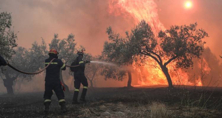 Μαίνεται η φωτιά στις Κεχριές Κορινθίας: Πύρινο μέτωπο 10 χιλιομέτρων | Ενισχύθηκαν οι δυνάμεις της Πυροσβεστικής