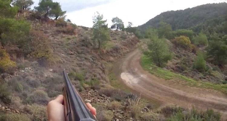 &Alpha;&nu;&alpha;&kappa;&omicron;ί&nu;&omega;&sigma;&eta; &tau;&omicron;&upsilon; &Kappa;&upsilon;&nu;&eta;&gamma;&epsilon;&tau;&iota;&kappa;&omicron;ύ &sigma;&upsilon;&lambda;&lambda;ό&gamma;&omicron;&upsilon; &Lambda;ή&mu;&nu;&omicron;&upsilon; &gamma;&iota;&alpha; &tau;&eta;&nu; &epsilon;&upsilon;&lambda;&omicron;&gamma;&iota;ά &sigma;&epsilon; &alpha;&iota;&gamma;&omicron;&pi;&rho;ό&beta;&alpha;&tau;&alpha; &tau;&omicron;&upsilon; &nu;&eta;&sigma;&iota;&omicron;ύ
