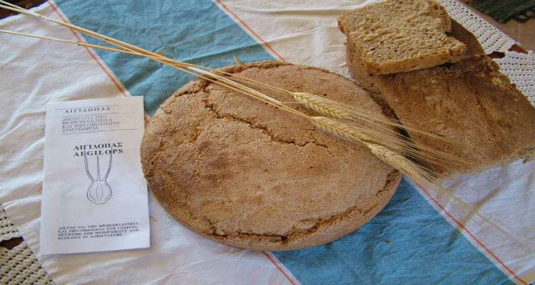 &Sigma;&chi;&omicron;&lambda;&epsilon;ί&omicron; &sigma;&pi;ό&rho;&omega;&nu; &Lambda;ή&mu;&nu;&omicron;&upsilon; | &Epsilon;&kappa;&pi;&alpha;&iota;&delta;&epsilon;&upsilon;&tau;&iota;&kappa;ό &delta;&iota;ή&mu;&epsilon;&rho;&omicron; &pi;&rho;ό&gamma;&rho;&alpha;&mu;&mu;&alpha;