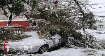 &Lambda;ή&mu;&nu;&omicron;&sigmaf;: &Pi;&tau;ώ&sigma;&epsilon;&iota;&sigmaf; &delta;έ&nu;&tau;&rho;&omega;&nu;, &alpha;&pi;&epsilon;&gamma;&kappa;&lambda;&omega;&beta;&iota;&sigma;&mu;&omicron;ί &omicron;&delta;&eta;&gamma;ώ&nu; &kappa;&alpha;&iota; &mu;&epsilon;&tau;&alpha;&phi;&omicron;&rho;ά &alpha;&sigma;&theta;&epsilon;&nu;ώ&nu; &omicron; &pi;&rho;ώ&tau;&omicron;&sigmaf; &alpha;&pi;&omicron;&lambda;&omicron;&gamma;&iota;&sigma;&mu;ό&sigmaf; &tau;&eta;&sigmaf; &chi;&iota;&omicron;&nu;ό&pi;&tau;&omega;&sigma;&eta;&sigmaf;