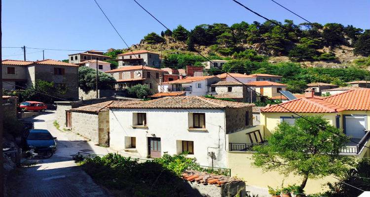 &Kappa;&omicron;&nu;&tau;&iota;ά&sigmaf;: &Tau;&alpha; &alpha;&pi;&omicron;&tau;&epsilon;&lambda;έ&sigma;&mu;&alpha;&tau;&alpha; &tau;&eta;&sigmaf; &tau;&omicron;&pi;&iota;&kappa;ή&sigmaf; &kappa;&omicron;&iota;&nu;ό&tau;&eta;&tau;&alpha;&sigmaf;