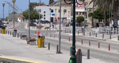 &Epsilon;&lambda;ά&phi;&iota;&alpha; &epsilon;&kappa;&tau;ό&sigmaf; &epsilon;&lambda;έ&gamma;&chi;&omicron;&upsilon; &pi;&rho;&iota;&nu; &alpha;&pi;ό &lambda;ί&gamma;&omicron; &sigma;&tau;&omicron; &lambda;&iota;&mu;ά&nu;&iota; &tau;&eta;&sigmaf; &Mu;ύ&rho;&iota;&nu;&alpha;&sigmaf; | Έ&nu;&alpha; &chi;&tau;ύ&pi;&eta;&sigma;&epsilon; &sigma;&epsilon; &alpha;&upsilon;&tau;&omicron;&kappa;ί&nu;&eta;&tau;&omicron;