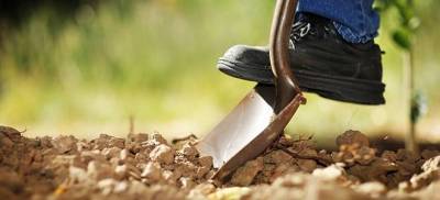 Στροφή στη γη: Το 70% των Ελλήνων γονέων θα ενθάρρυνε τα παιδιά του να γίνουν αγρότες