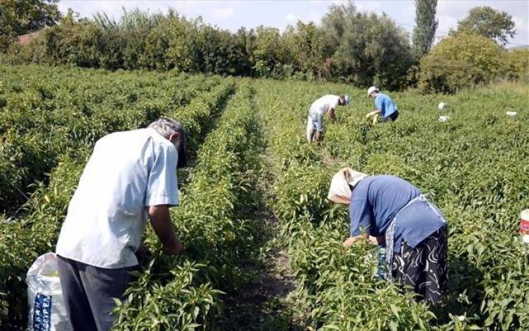 &Kappa;&alpha;&tau;&alpha;&beta;&omicron;&lambda;ή 32,2 &epsilon;&kappa; &epsilon;&upsilon;&rho;ώ &sigma;&epsilon; &gamma;&epsilon;&omega;&rho;&gamma;&omicron;ύ&sigmaf; &kappa;&alpha;&iota; &kappa;&tau;&eta;&nu;&omicron;&tau;&rho;ό&phi;&omicron;&upsilon;&sigmaf; | &Omicron;&iota;&kappa;&omicron;&nu;&omicron;&mu;&iota;&kappa;έ&sigmaf; &epsilon;&nu;&iota;&sigma;&chi;ύ&sigma;&epsilon;&iota;&sigmaf; &kappa;&alpha;&iota; &sigma;&epsilon; &pi;&alpha;&rho;&alpha;&gamma;&omega;&gamma;&omicron;ύ&sigmaf; &tau;&eta;&sigmaf; &Lambda;ή&mu;&nu;&omicron;&upsilon;