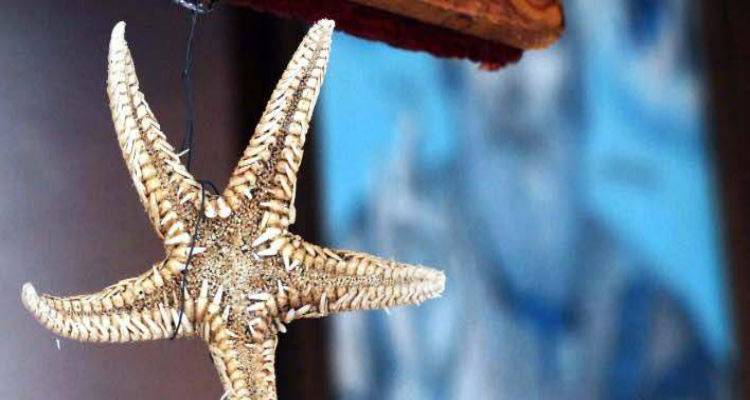 &Alpha;&nu;&epsilon;&beta;&alpha;ί&nu;&epsilon;&iota; &kappa;&iota; ά&lambda;&lambda;&omicron; &eta; &theta;&epsilon;&rho;&mu;&omicron;&kappa;&rho;&alpha;&sigma;ί&alpha; | &Pi;&omicron;ύ &theta;&alpha; &phi;&tau;ά&sigma;&epsilon;&iota; &tau;&omicron;&upsilon;&sigmaf; 35 &beta;&alpha;&theta;&mu;&omicron;ύ&sigmaf;