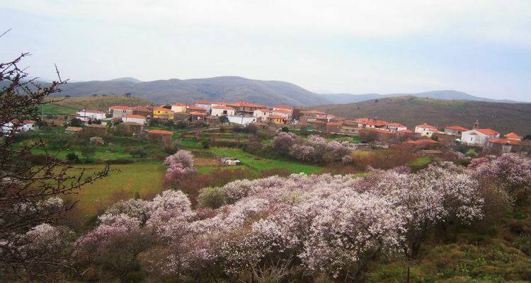 &Nu;&epsilon;&phi;ώ&sigma;&epsilon;&iota;&sigmaf; &mu;&epsilon; &tau;&omicron;&pi;&iota;&kappa;έ&sigmaf; &beta;&rho;&omicron;&chi;έ&sigmaf;