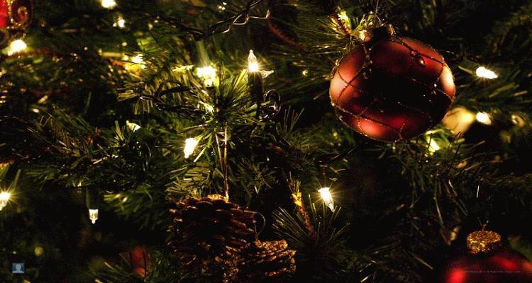 &Tau;&omicron; &Theta;ά&nu;&omicron;&sigmaf; &phi;&omega;&tau;&alpha;&gamma;&omega;&gamma;&epsilon;ί &tau;&omicron; &Chi;&rho;&iota;&sigma;&tau;&omicron;&upsilon;&gamma;&epsilon;&nu;&nu;&iota;ά&tau;&iota;&kappa;&omicron; &Delta;έ&nu;&tau;&rho;&omicron; &tau;&omicron;&upsilon;