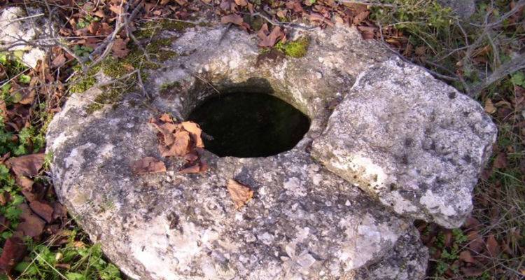 Λύχνα: Πνίγηκε σκυλί σε αφύλακτο πηγάδι