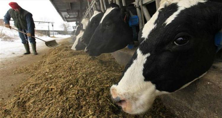 15,28 &epsilon;&upsilon;&rho;ώ &alpha;&nu;ά &zeta;ώ&omicron; &epsilon;&nu;ί&sigma;&chi;&upsilon;&sigma;&eta; &sigma;&epsilon; &alpha;&gamma;&epsilon;&lambda;&alpha;&delta;&omicron;&tau;&rho;ό&phi;&omicron;&upsilon;&sigmaf; &tau;&eta;&sigmaf; &Lambda;ή&mu;&nu;&omicron;&upsilon; &alpha;&pi;ό &tau;&omicron; &pi;&alpha;&kappa;έ&tau;&omicron; &tau;&eta;&sigmaf; &Epsilon;&Epsilon;