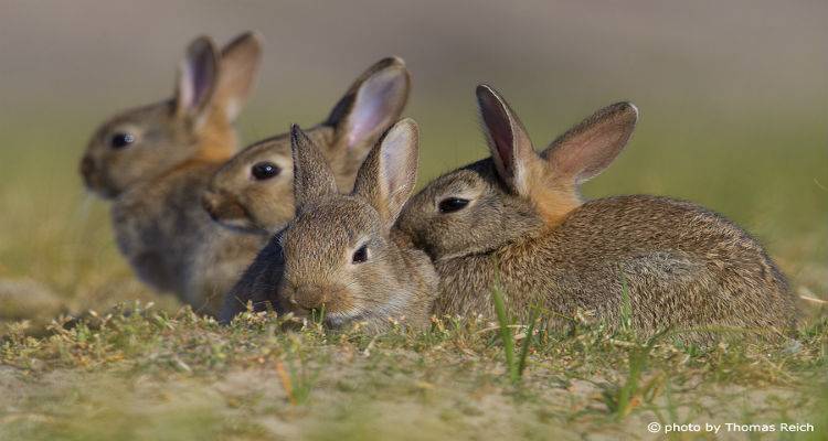 &Alpha;&nu;&alpha;&kappa;&omicron;&iota;&nu;ώ&theta;&eta;&kappa;&alpha;&nu; &tau;&alpha; &pi;&omicron;&rho;ί&sigma;&mu;&alpha;&tau;&alpha; &tau;&omicron;&upsilon; &Epsilon;&Lambda;&Gamma;&Alpha; &gamma;&iota;&alpha; &kappa;&alpha;&tau;&alpha;&sigma;&tau;&rho;&omicron;&phi;έ&sigmaf; &sigma;&epsilon; &kappa;&alpha;&lambda;&lambda;&iota;έ&rho;&gamma;&epsilon;&iota;&epsilon;&sigmaf; &tau;&eta;&sigmaf; &Nu;έ&alpha;&sigmaf; &Kappa;&omicron;ύ&tau;&alpha;&lambda;&eta;&sigmaf;