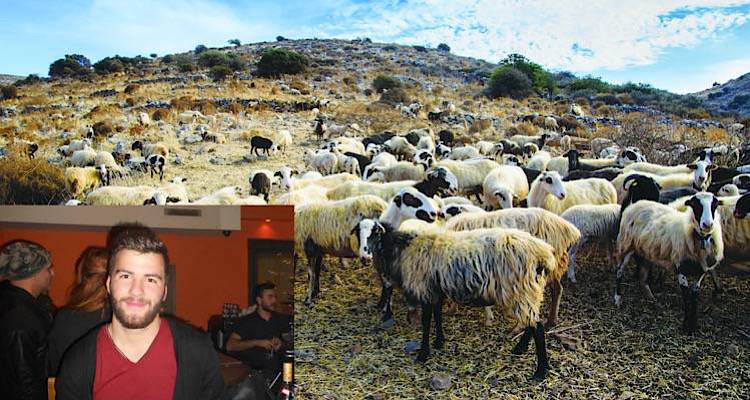 Γενική Συνέλευση του Συλλόγου Αγροτοκτηνοτρόφων | Στο τραπέζι τα αγροτικά αδιέξοδα του κλάδου στη Λήμνο