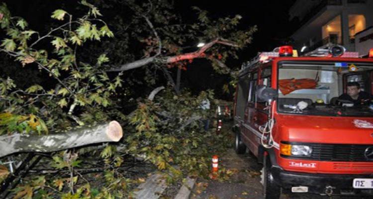 Φωτογραφία αρχείου   