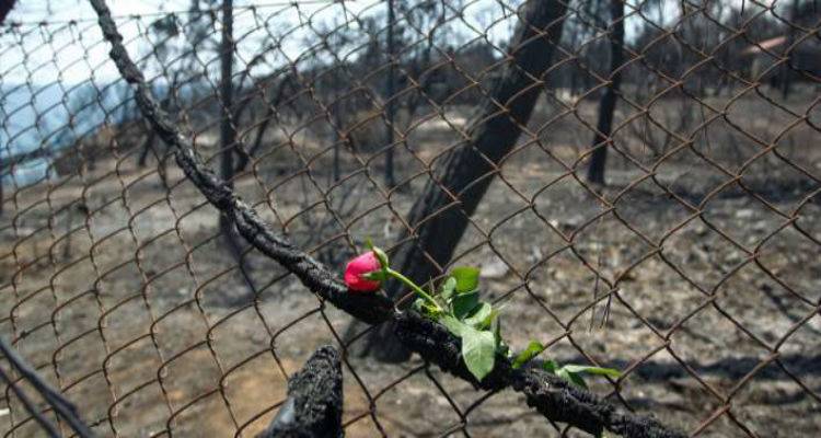 &Phi;&omega;&tau;&iota;ά &sigma;&tau;&omicron; &Mu;ά&tau;&iota;: 57 &nu;&epsilon;&kappa;&rho;&omicron;ί &tau;&alpha;&upsilon;&tau;&omicron;&pi;&omicron;&iota;ή&theta;&eta;&kappa;&alpha;&nu;, ά&gamma;&nu;&omega;&sigma;&tau;&omicron;&sigmaf; &alpha;&rho;&iota;&theta;&mu;ό&sigmaf; &alpha;&gamma;&nu;&omicron;&omicron;&upsilon;&mu;έ&nu;&omega;&nu;
