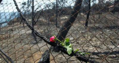 &Phi;&omega;&tau;&iota;ά &sigma;&tau;&omicron; &Mu;ά&tau;&iota;: 57 &nu;&epsilon;&kappa;&rho;&omicron;ί &tau;&alpha;&upsilon;&tau;&omicron;&pi;&omicron;&iota;ή&theta;&eta;&kappa;&alpha;&nu;, ά&gamma;&nu;&omega;&sigma;&tau;&omicron;&sigmaf; &alpha;&rho;&iota;&theta;&mu;ό&sigmaf; &alpha;&gamma;&nu;&omicron;&omicron;&upsilon;&mu;έ&nu;&omega;&nu;