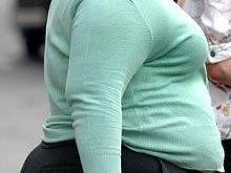 &Pi;&alpha;&chi;&upsilon;&sigma;&alpha;&rho;&kappa;ί&alpha; &kappa;&alpha;&iota; &rho;&epsilon;&upsilon;&mu;&alpha;&tau;&omicron;&epsilon;&iota;&delta;ή&sigmaf; &alpha;&rho;&theta;&rho;ί&tau;&iota;&delta;&alpha;