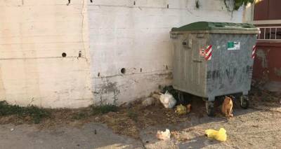 &Pi;&rho;ό&epsilon;&delta;&rho;&omicron;&sigmaf; &Kappa;&alpha;&lambda;&lambda;&iota;&theta;έ&alpha;&sigmaf;: &laquo;&Alpha;&upsilon;&tau;ή &eta; &epsilon;&iota;&kappa;ό&nu;&alpha; &delta;&epsilon;&nu; &mu;&alpha;&sigmaf; &tau;&alpha;&iota;&rho;&iota;ά&zeta;&epsilon;&iota; &ndash; &Nu;&alpha; &epsilon;ί&mu;&alpha;&sigma;&tau;&epsilon; &pi;&iota;&omicron; &pi;&rho;&omicron;&sigma;&epsilon;&kappa;&tau;&iota;&kappa;&omicron;ί &sigma;&epsilon; &theta;έ&mu;&alpha;&tau;&alpha; &delta;&eta;&mu;ό&sigma;&iota;&alpha;&sigmaf; &upsilon;&gamma;&epsilon;ί&alpha;&sigmaf;&raquo;