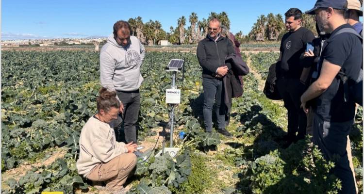 &Pi;.&Beta;.&Alpha;: &Sigma;&tau;&rho;&alpha;&tau;&eta;&gamma;&iota;&kappa;ά &beta;ή&mu;&alpha;&tau;&alpha; &gamma;&iota;&alpha; &tau;&eta;&nu; &alpha;&nu;&tau;&iota;&mu;&epsilon;&tau;ώ&pi;&iota;&sigma;&eta; &tau;&eta;&sigmaf; &lambda;&epsilon;&iota;&psi;&upsilon;&delta;&rho;ί&alpha;&sigmaf; &mu;έ&sigma;&omega; &tau;&omicron;&upsilon; &epsilon;&upsilon;&rho;&omega;&pi;&alpha;ϊ&kappa;&omicron;ύ έ&rho;&gamma;&omicron;&upsilon; &laquo;RAINS&raquo;