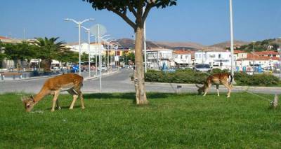 &Sigma;&tau;&eta; &Lambda;ή&mu;&nu;&omicron; έ&rho;&chi;&epsilon;&tau;&alpha;&iota; &tau;&omicron; Attica Reisen