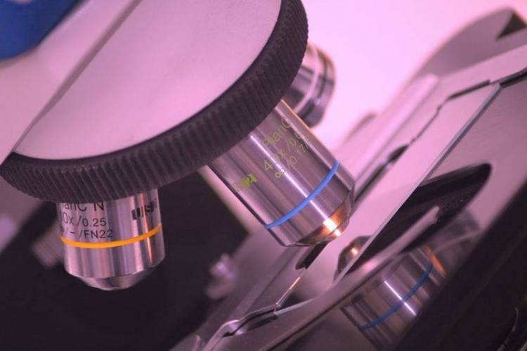 &Tau;&alpha;&kappa;&tau;&iota;&kappa;ό &Epsilon;&xi;&omega;&tau;&epsilon;&rho;&iota;&kappa;ό &Iota;&alpha;&tau;&rho;&epsilon;ί&omicron; &Alpha;&iota;&mu;&alpha;&tau;&omicron;&lambda;&omicron;&gamma;ί&alpha;&sigmaf; &alpha;&pi;ό &tau;&eta; &Delta;&epsilon;&upsilon;&tau;έ&rho;&alpha; &sigma;&tau;&omicron; &Nu;&omicron;&sigma;&omicron;&kappa;&omicron;&mu;&epsilon;ί&omicron; &Lambda;ή&mu;&nu;&omicron;&upsilon;