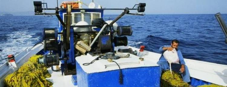 &Xi;&epsilon;&kappa;ί&nu;&eta;&sigma;&epsilon; &eta; &upsilon;&pi;&omicron;&beta;&omicron;&lambda;ή &alpha;&iota;&tau;ή&sigma;&epsilon;&omega;&nu;  &gamma;&iota;&alpha; &tau;&eta;&nu; &epsilon;&iota;&delta;&iota;&kappa;ή ά&delta;&epsilon;&iota;&alpha; &alpha;&lambda;&iota;&epsilon;ί&alpha;&sigmaf; &gamma;&iota;&alpha; &tau;&omicron;&upsilon;&sigmaf; &epsilon;&pi;&alpha;&gamma;&gamma;&epsilon;&lambda;&mu;&alpha;&tau;ί&epsilon;&sigmaf; &alpha;&lambda;&iota;&epsilon;ί&sigmaf; &tau;&eta;&sigmaf; &Lambda;ή&mu;&nu;&omicron;&upsilon;