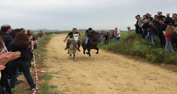 &Iota;&pi;&pi;&omicron;&delta;&rho;&omicron;&mu;ί&epsilon;&sigmaf; &kappa;&alpha;&iota; &phi;έ&tau;&omicron;&sigmaf; &sigma;&tau;&eta;&nu; &Kappa;&alpha;&lambda;&lambda;&iota;ό&pi;&eta; &sigma;&tau;&eta; &mu;&nu;ή&mu;&eta; &tau;&omicron;&upsilon; &Alpha;&gamma;ί&omicron;&upsilon; &Gamma;&epsilon;&omega;&rho;&gamma;ί&omicron;&upsilon; | &Tau;&omicron; &epsilon;&pi;ί&sigma;&eta;&mu;&omicron; &pi;&rho;ό&gamma;&rho;&alpha;&mu;&mu;&alpha;