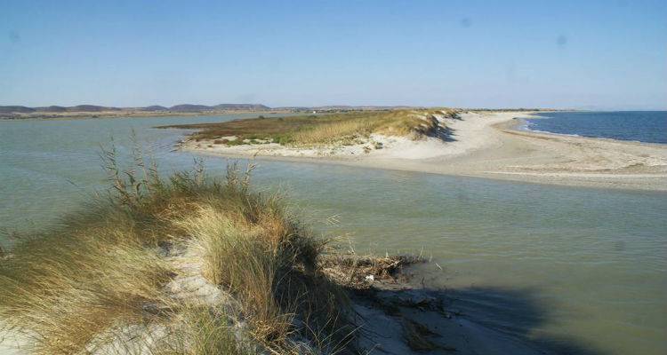 &Alpha;&upsilon;&tau;&omicron;&psi;ί&alpha; &sigma;&tau;&eta;&nu; &Alpha;&lambda;&upsilon;&kappa;ή &alpha;&pi;ό &tau;o &Kappa;&lambda;&iota;&mu;ά&kappa;&iota;&omicron; Έ&lambda;&epsilon;&gamma;&chi;&omicron;&upsilon; &Pi;&omicron;&iota;ό&tau;&eta;&tau;&alpha;&sigmaf; &Pi;&epsilon;&rho;&iota;&beta;ά&lambda;&lambda;&omicron;&nu;&tau;&omicron;&sigmaf; &tau;&eta;&sigmaf; &Pi;&epsilon;&rho;&iota;&phi;έ&rho;&epsilon;&iota;&alpha;&sigmaf;