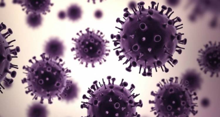 Λοιμώδη νοσήματα