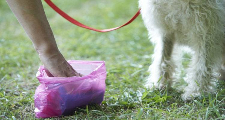 &Delta;&eta;&mu;&omicron;&tau;&iota;&kappa;ή &Kappa;&omicron;&iota;&nu;ό&tau;&eta;&tau;&alpha; &Mu;ύ&rho;&iota;&nu;&alpha;&sigmaf;: &Nu;&rsquo; &alpha;&gamma;&alpha;&pi;ά&sigmaf; &tau;&alpha; &zeta;ώ&alpha;, &alpha;&lambda;&lambda;ά &nu;&rsquo; &alpha;&gamma;&alpha;&pi;ά&sigmaf; &kappa;&alpha;&iota; &tau;&eta;&nu; &pi;ό&lambda;&eta; &sigma;&omicron;&upsilon;