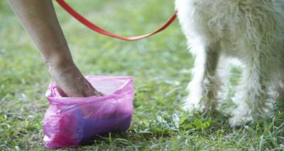 &Delta;&eta;&mu;&omicron;&tau;&iota;&kappa;ή &Kappa;&omicron;&iota;&nu;ό&tau;&eta;&tau;&alpha; &Mu;ύ&rho;&iota;&nu;&alpha;&sigmaf;: &Nu;&rsquo; &alpha;&gamma;&alpha;&pi;ά&sigmaf; &tau;&alpha; &zeta;ώ&alpha;, &alpha;&lambda;&lambda;ά &nu;&rsquo; &alpha;&gamma;&alpha;&pi;ά&sigmaf; &kappa;&alpha;&iota; &tau;&eta;&nu; &pi;ό&lambda;&eta; &sigma;&omicron;&upsilon;