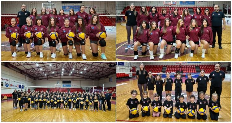 &Alpha;&nu;&alpha;&nu;έ&omega;&sigma;&eta; &kappa;&alpha;&iota; &alpha;&nu;ά&pi;&tau;&upsilon;&xi;&eta; &sigma;&tau;&omicron; &tau;&mu;ή&mu;&alpha; Volley &tau;&omicron;&upsilon; &Alpha;.&Omicron;. Ή&phi;&alpha;&iota;&sigma;&tau;&omicron;&upsilon; | &Nu;έ&omicron;&iota; &pi;&rho;&omicron;&pi;&omicron;&nu;&eta;&tau;έ&sigmaf;, &pi;&epsilon;&rho;&iota;&sigma;&sigma;ό&tau;&epsilon;&rho;&alpha; &tau;&mu;ή&mu;&alpha;&tau;&alpha; &kappa;&alpha;&iota; &nu;έ&omicron;&sigmaf; &chi;&omicron;&rho;&eta;&gamma;ό&sigmaf;